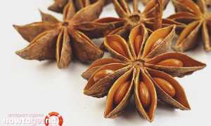 Бадьян — полезные свойства и противопоказания