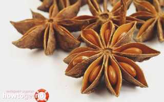 Бадьян — полезные свойства и противопоказания