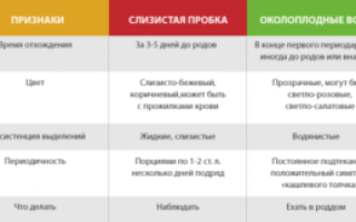 Через сколько дней после отхождения пробки рожают