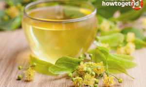 Чай из липы — польза и вред для женщин и мужчин