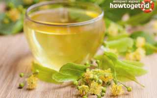 Чай из липы — польза и вред для женщин и мужчин