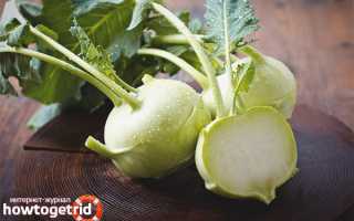 Чем полезна капуста кольраби для здоровья