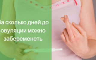 За 5 дней до овуляции можно ли забеременеть