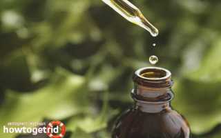 Эфирное масло можжевельника: свойства и применение