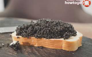 Черная икра при беременности — польза и вред