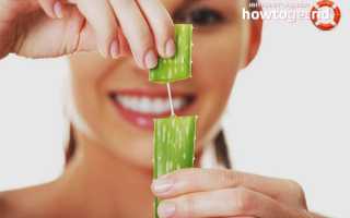 Алоэ — лечебные свойства и противопоказания