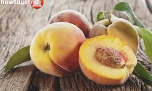 Чем полезны персики для организма человека