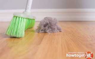 Аллергия на домашнюю пыль: симптомы и лечение