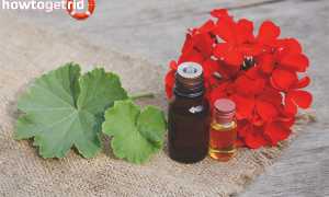 Эфирное масло герани для волос — польза и применение