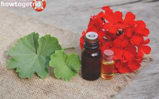 Эфирное масло герани для волос — польза и применение