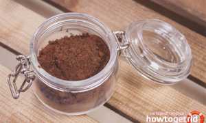 Черемуховая мука — польза и вред для здоровья