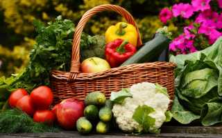 5 лайфхаков, как правильно делать запасы овощей на зиму