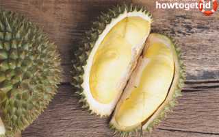 Дуриан — полезные свойства и противопоказания