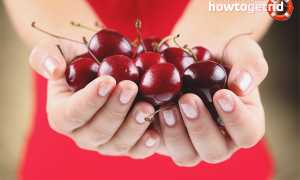 Черешня при беременности — польза и противопоказания