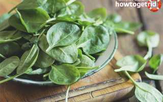 Что можно приготовить из шпината?