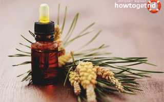 Эфирное масло сосны: свойства и применение