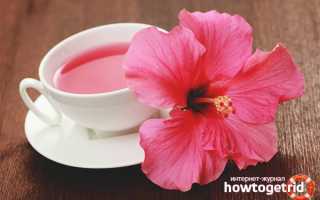 Чай каркаде — польза и вред для мужчин и женщин