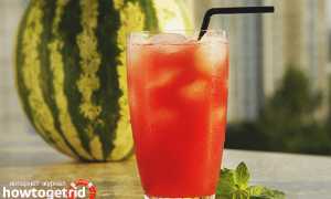 Чем полезен арбуз для организма человека