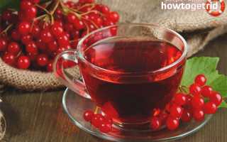 Чай с калиной — польза и вред для здоровья