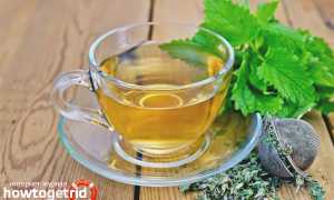 Чай с мелиссой при беременности — польза и вред