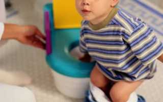 Что делать, если ребенок боится садиться на горшок