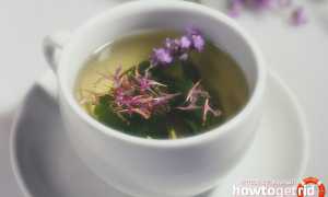 Чай с душицей — польза и вред для женщин и мужчин