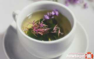 Чай с душицей — польза и вред для женщин и мужчин