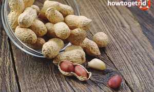 Арахис — польза и вред для женщин и мужчин