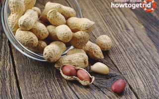 Арахис — польза и вред для женщин и мужчин