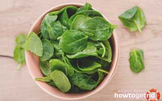 Чем полезен шпинат для мужчин и женщин