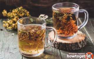 Чай из зверобоя — польза и вред для мужчин и женщин