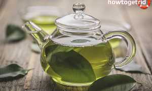 Чем отличается черный чай от зеленого?