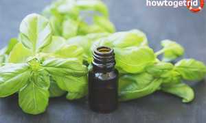 Эфирное масло базилика — свойства и применение
