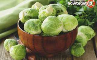 Брюссельская капуста — польза и вред для здоровья