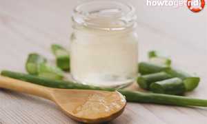 Алоэ с медом от кашля — народные рецепты