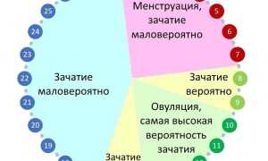 Через сколько дней после месячных можно забеременеть?