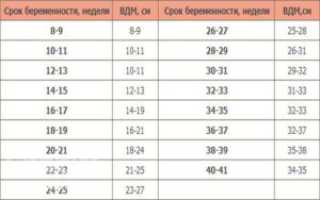 Ож норма по неделям
