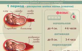 Сколько времени роды проходят