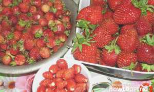 Чем отличается клубника от земляники?