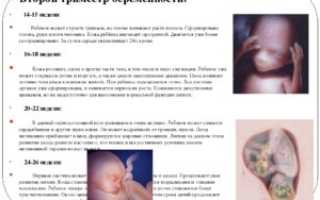 Когда вы почувствовали шевеления при второй беременности