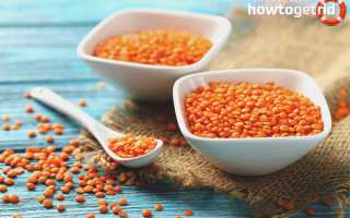 Чечевица для похудения — польза и применение