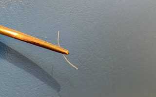 Что делать, если застряла рыбная кость в горле