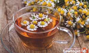 Чем полезен ромашковый чай