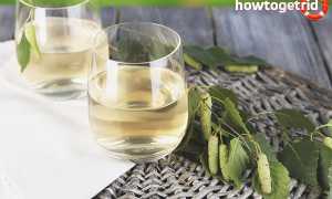 Березовый сок при беременности — польза и вред