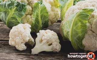 Цветная капуста — полезные свойства и противопоказания