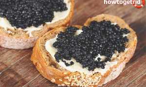 Бутерброды с черной икрой: рецепты приготовления