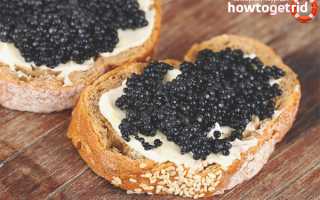 Бутерброды с черной икрой: рецепты приготовления