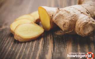 Чем полезен корень имбиря для мужчин и женщин