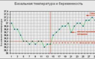 37 3 температура при беременности на ранних сроках