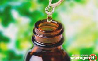 Эфирное масло петрушки — свойства и применение